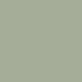 Painted Wooden Colour Samples
